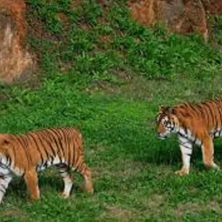 Apartamento Legado De Santillana Santillana del Mar