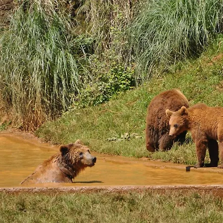 Legado De Santillana Apartamento Santillana del Mar