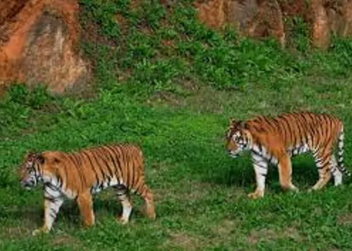 Lejlighed Legado De Santillana Santillana del Mar