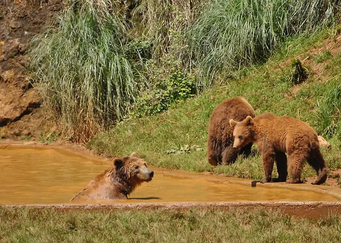 Legado De Santillana Lejlighed Santillana del Mar
